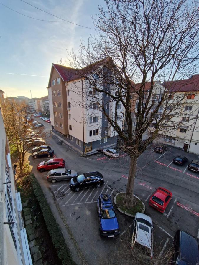 Apartament Victoria Apartman Zsilvásárhely Kültér fotó